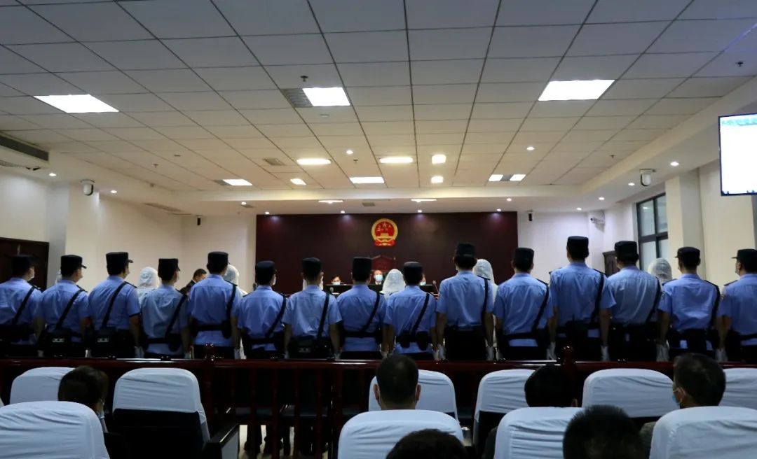 判处|最高判处二十五年,以商养黑、以黑护商,陆某兵等人一审宣判