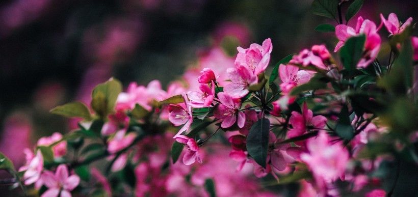  平静|近期内，平静地遇到真爱，有望完成终身大事的4大星座