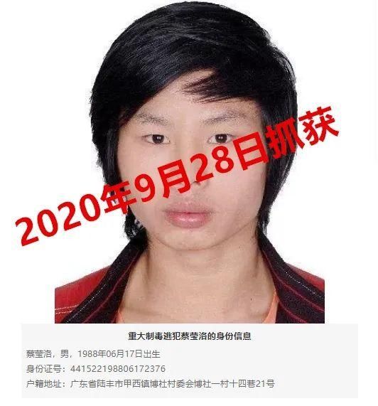 逃犯|百万逃犯落网！