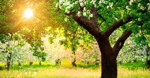  前任|在近期，相思入骨，旧爱转身破镜重圆，与前任极尽缠绵的四大星座