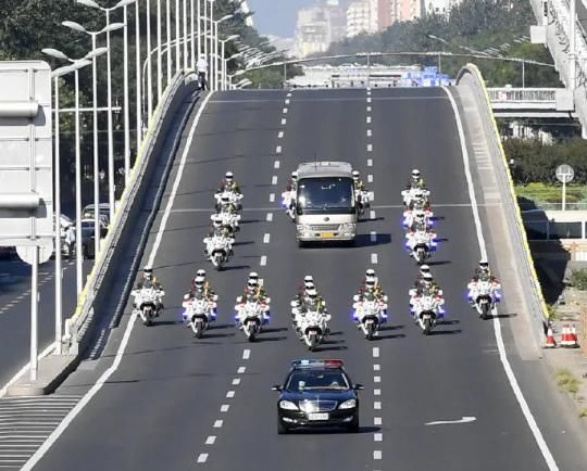 选中|央视搞选秀、信小呆转让锦鲤…被选中的都是“天选之子”吧！