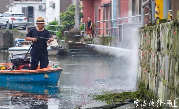  福寿螺|宁波河边这种粉红色的卵千万不要碰