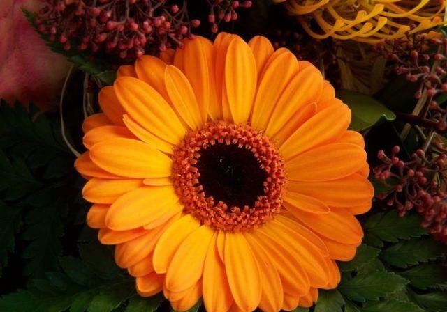  属鼠人|7月22号后，被好运笼罩，收获颇丰，事业一飞冲天的4大生肖！