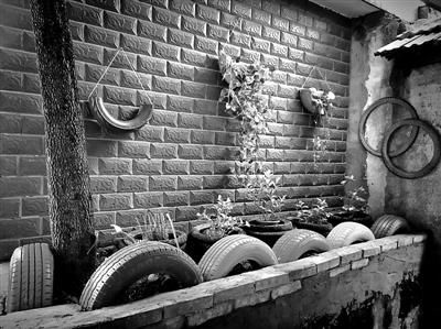 环境|下足“绣花”功夫 擦亮“为民”底色