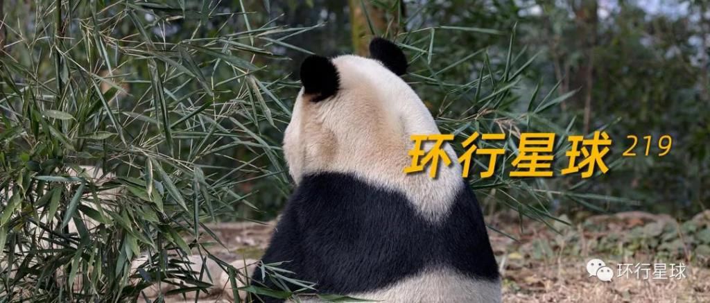  活着|一个普通人，如何活着走出无人区？