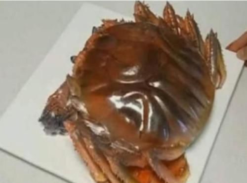 切开|妹妹拿回一只“螃蟹”,爸爸准备蒸,切开一看是“它”,幸亏没蒸