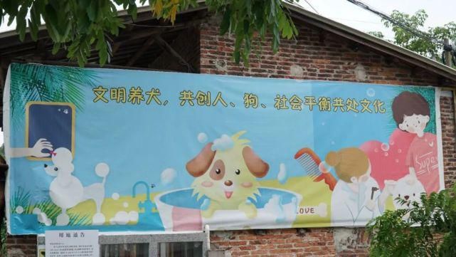 曝光|曝光台 | 文明养宠不能掉“链子”