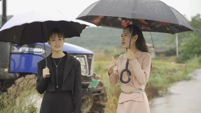 确保米|精致的生活，从一碗甘甜可口的米饭开始！