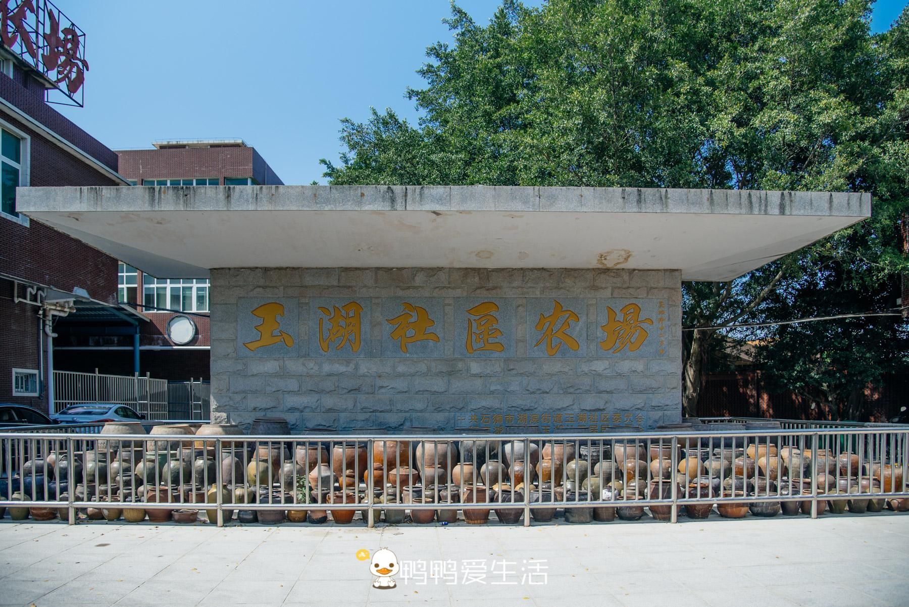  开放|脏乱差的围堰养殖场大变身，石狮湿地公园风景独好，免费开放