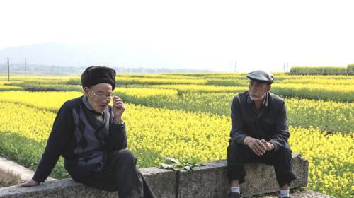 丁克|丁克一族最后悔的是什么?陈先生说了他的故事,值得每一个人深思