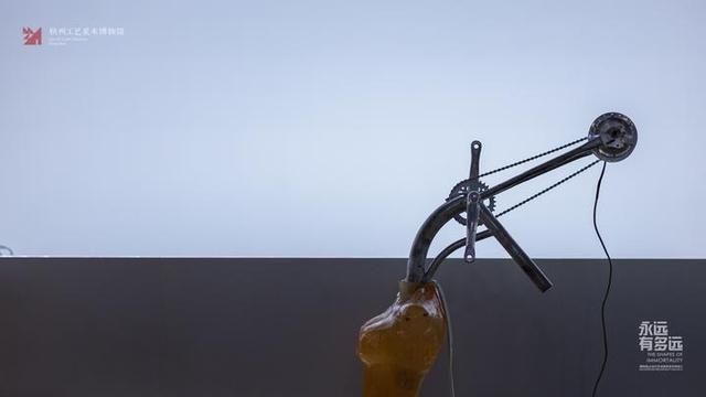 这场|永远有多远？工美馆的这场展览，请你来思考“生与死”