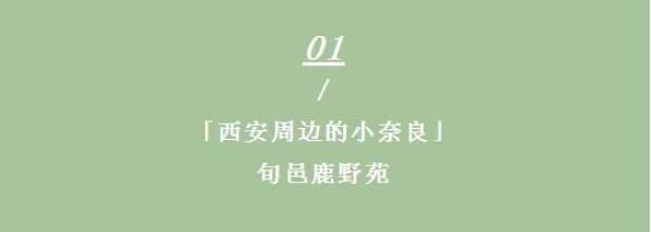  希腊|藏不住啦！小奈良、小希腊，西安周边这3处美景快来打卡