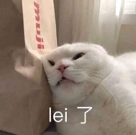 猫咪|猫咪：这年头……我们当猫的太不容易了！