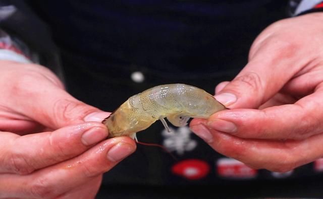  一大|去虾线、还在用牙签太老套了！老渔民教你1招，分分钟剥完一大盆