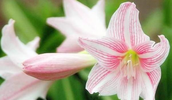 时来运转|能时来运转的人,都具备3个征兆,有其中一个就能财运发达