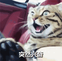  夫妇|揪心！一对年过半百的驴友夫妇，驾车冲下40米高瀑布