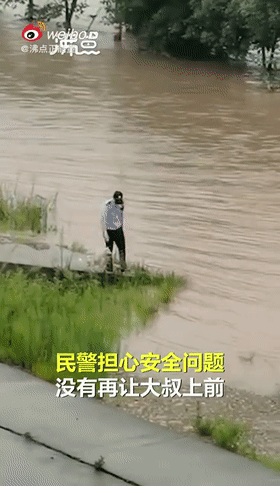  民警|流浪狗妈妈不顾民警阻拦，洪水中游百米救子，结局太催泪