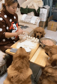 结婚|搞笑GIF：结婚真让人又期待又怕啊