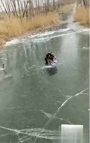 妹子|搞笑GIF:看来妹子你技术掌握得很好,你很棒