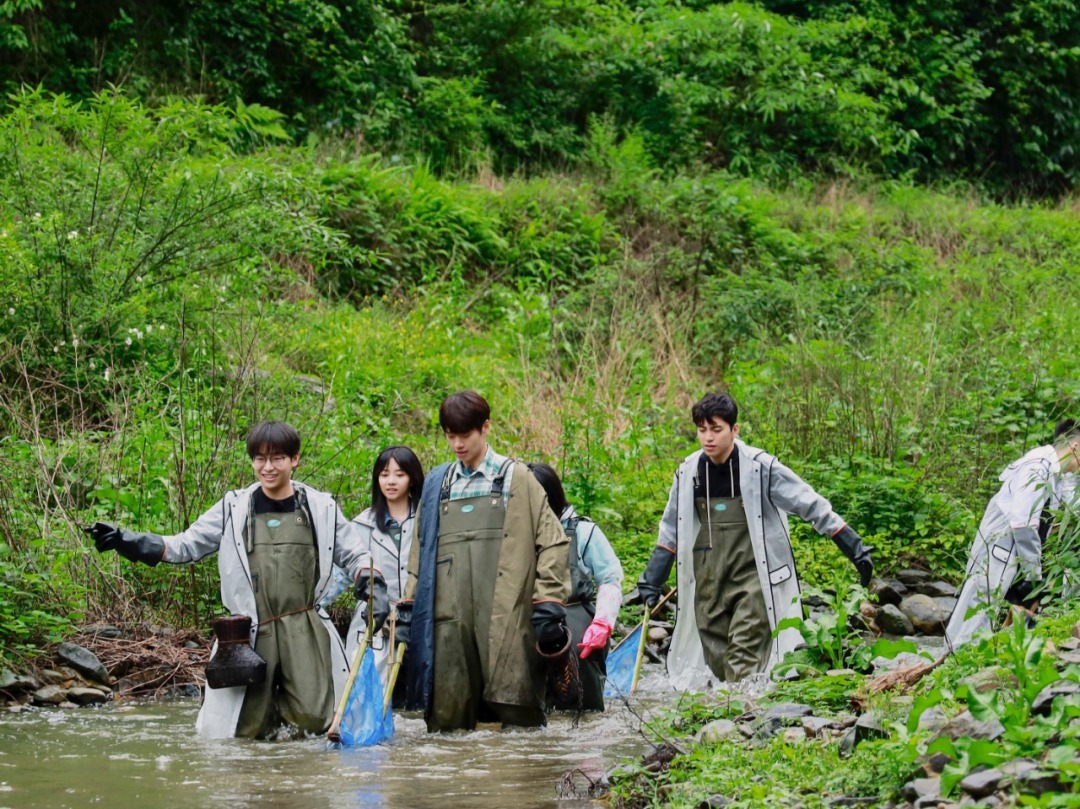  抄袭|《向往》再陷“抄袭”事件，不止内容框架一样，连时间先导也雷同