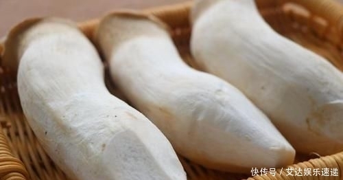  下饭|鸡腿菇不炒不凉拌，学会新吃法，好吃又下饭，上桌汤汁都不剩！