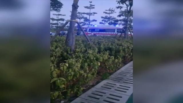  游泳|痛心！一中学生跟爸爸去邕江游泳不慎溺水身亡