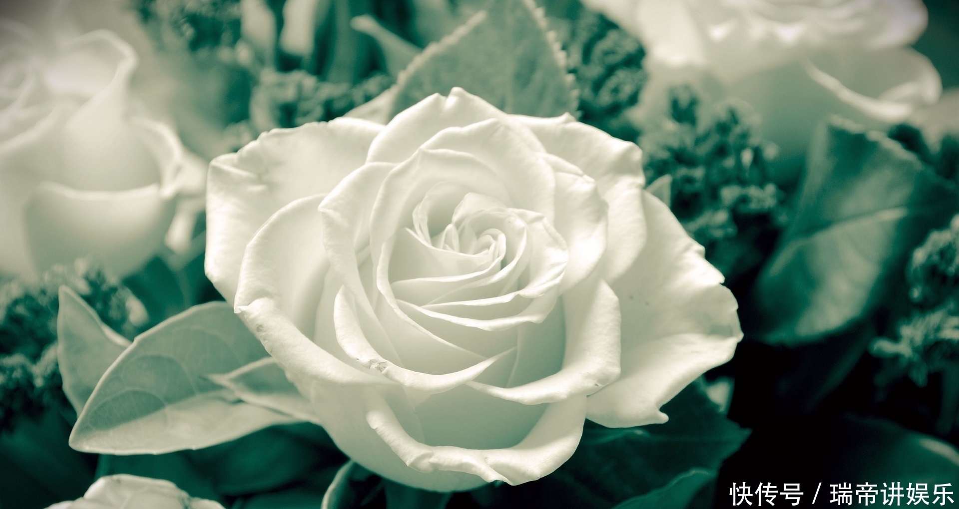  星座|在8月中旬，旧爱归来，有机会死灰复燃，相爱到老的四大星座！