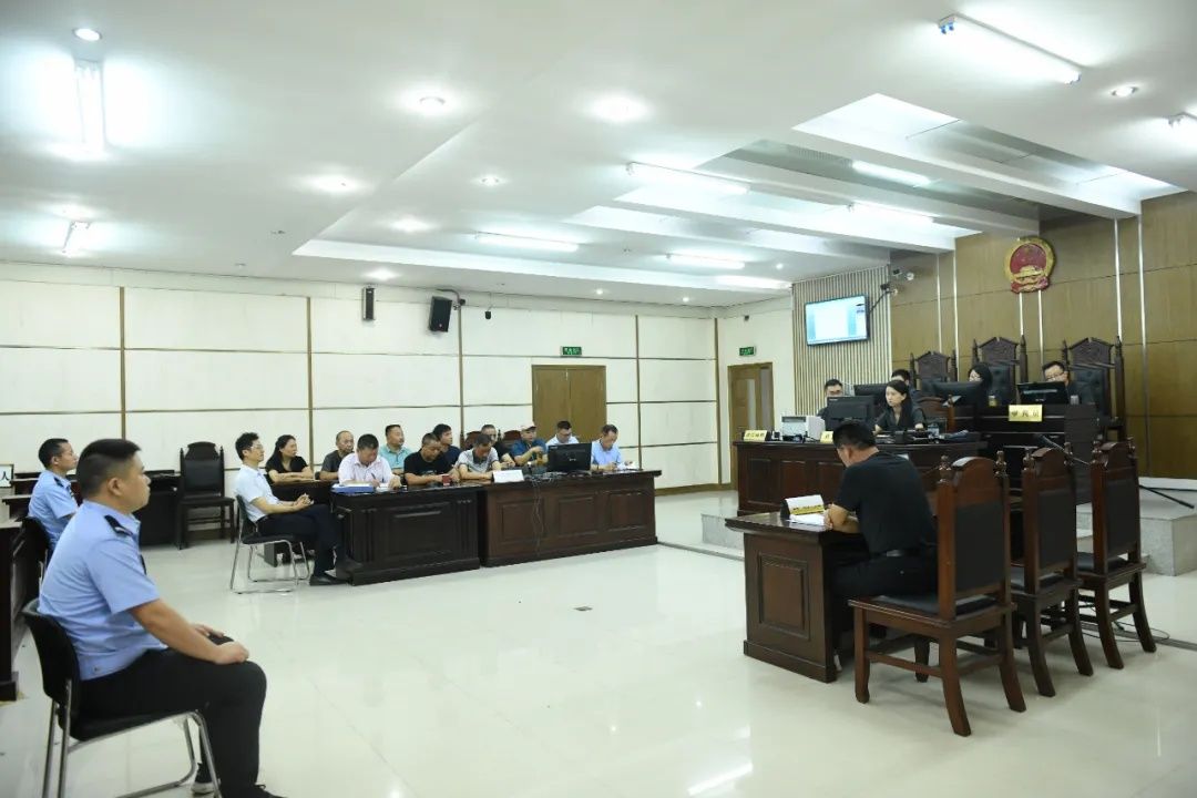 助力|执行听证助力集中处置系列执行案件