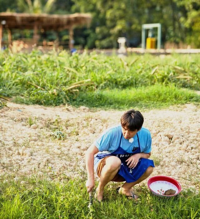  失败|《向往的生活》，黄磊做饭首次失败，一脸失落，李维嘉3个字救场