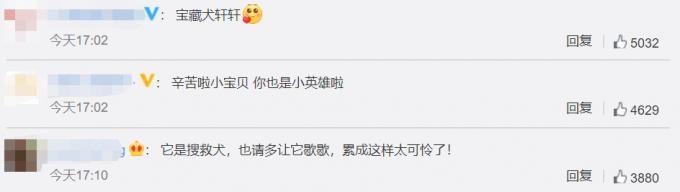  搜救|害怕打疫苗的搜救犬勇敢上前线了，满身泥泞累倒在地上