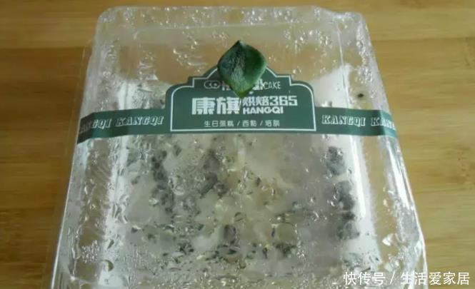 叶子|猕猴桃种子扔土里,7天变身毛茸茸叶子盆栽,开心!