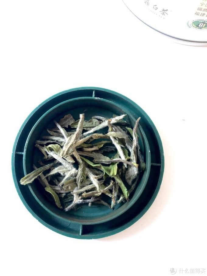  白茶|福鼎白茶入门小记