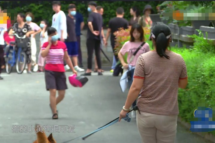  赵丽颖|赵丽颖被路人大狗吓跑，主人赶来道歉后，她下意识的回应显露素养