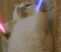  闭嘴|有多少人让他们闭嘴，就有多少人喜欢他们！