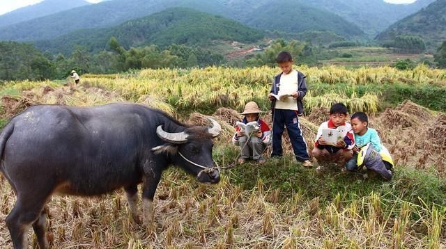 独自|13岁男孩成5个孩子的爸爸，独自养活一家6口，男孩没办法