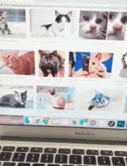  人生|搞笑GIF：孩子或许这是你人生的巅峰，你要懂的珍惜