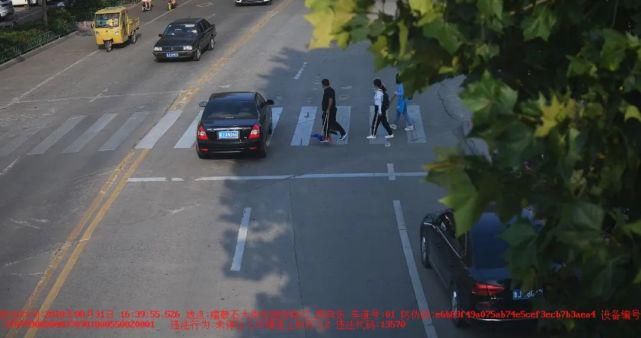 泰安|鲁JM2**3、鲁JJ0**7、鲁J62**N……泰安这15辆车被曝光!