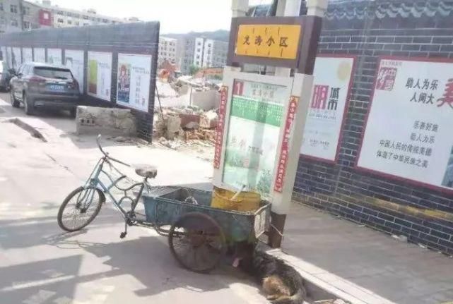 情况|你在围场坐公交车遇到过这种情况吗?