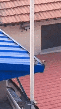  兄弟|搞笑GIF：兄弟们，赶紧去，去晚了300斤的老板娘就被别人抱走了……