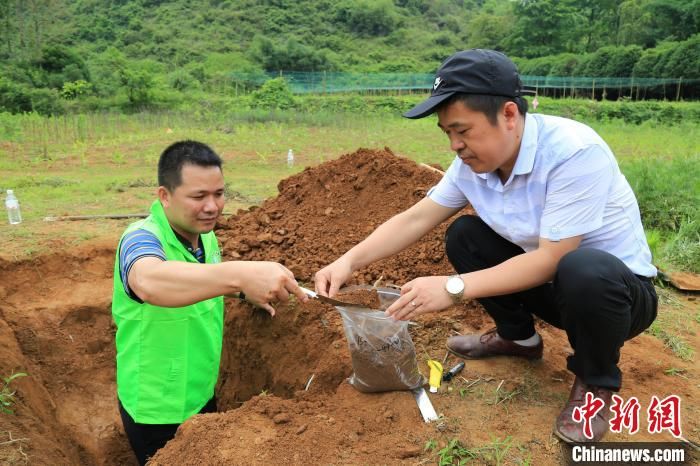 广西首次完成自然资源碳汇试点野外调查