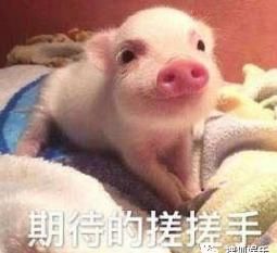 买房|娱乐日报|阿娇酒店发生意外;王思聪疑又带美女买房;吴磊里程遭私生饭盗用?