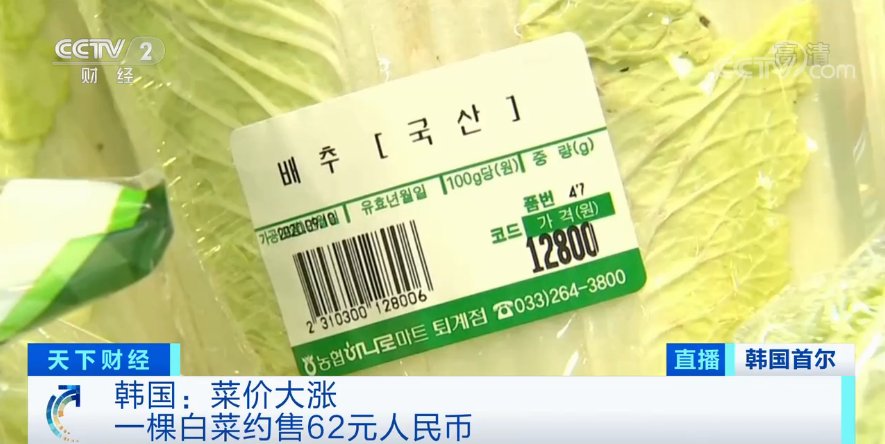 没了|泡菜都腌不起了？一棵大白菜卖出62元“天价”！这里240家工厂停工、餐厅的免费泡菜也没了...