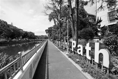 环境|下足“绣花”功夫 擦亮“为民”底色