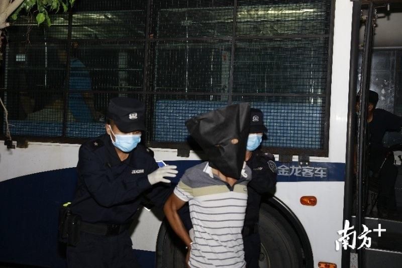 违法犯罪|深圳警方查扣385.83吨走私冻品,挑选冻肉要注意识别