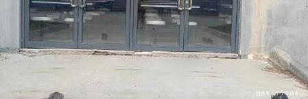  还好|“为什么女孩子的肚脐都是一条缝？”哈哈哈哈还好吧