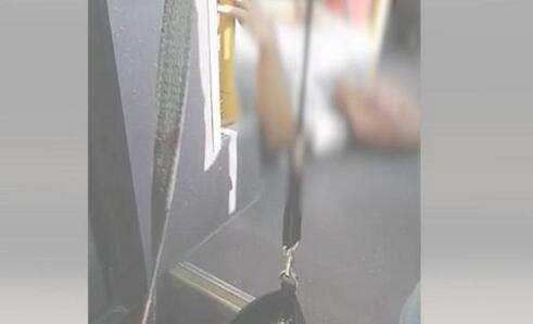  疾病|司机突发疾病倒地乘客无视下车 事情具体情况是怎样的