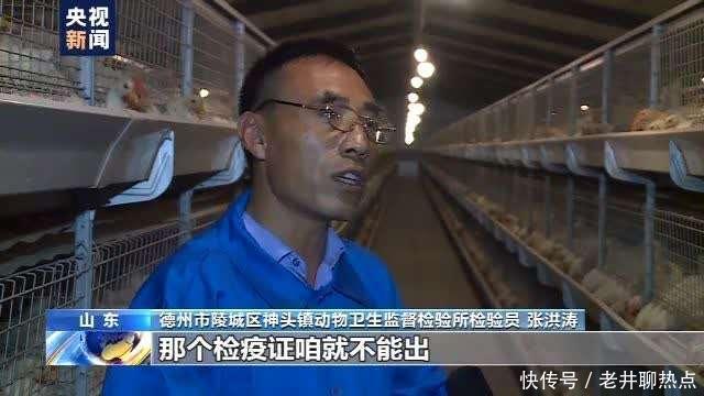 上半年|全国“菜篮子”产品供应总量充足 上半年生猪生产好于预期