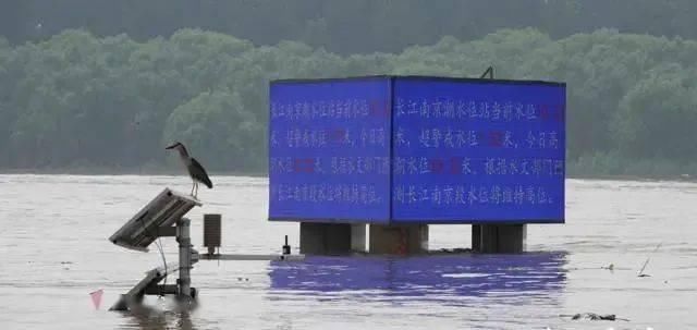 再次|第41天梅雨,水位再次刷新历史记录……