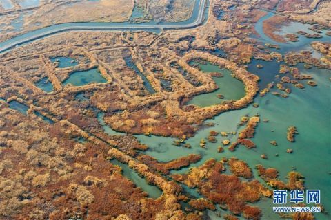  秋日|新疆玛纳斯：秋日湿地画卷