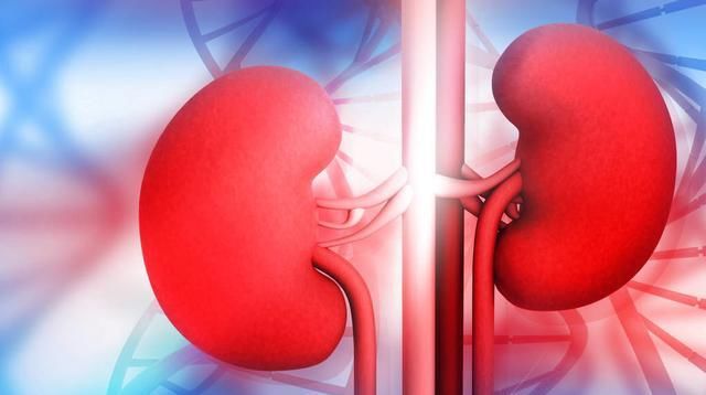  越来越|肾脏最怕什么？做到这3点，肾脏会越来越好